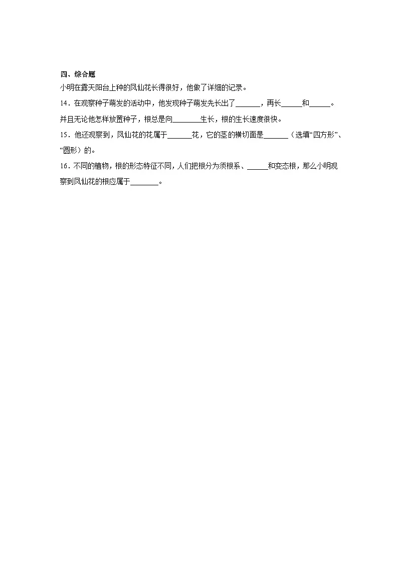 2026年教科版四年级下册(种植凤仙花)一课一练(含答案)第2页