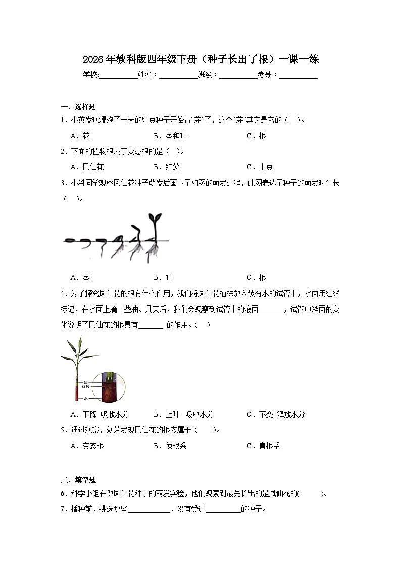2026年教科版四年级下册(种子长出了根)一课一练(含答案)第1页