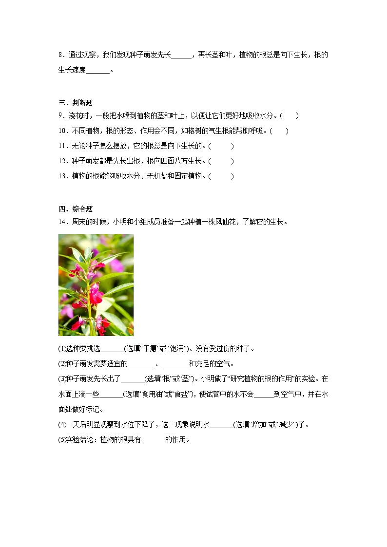 2026年教科版四年级下册(种子长出了根)一课一练(含答案)第2页