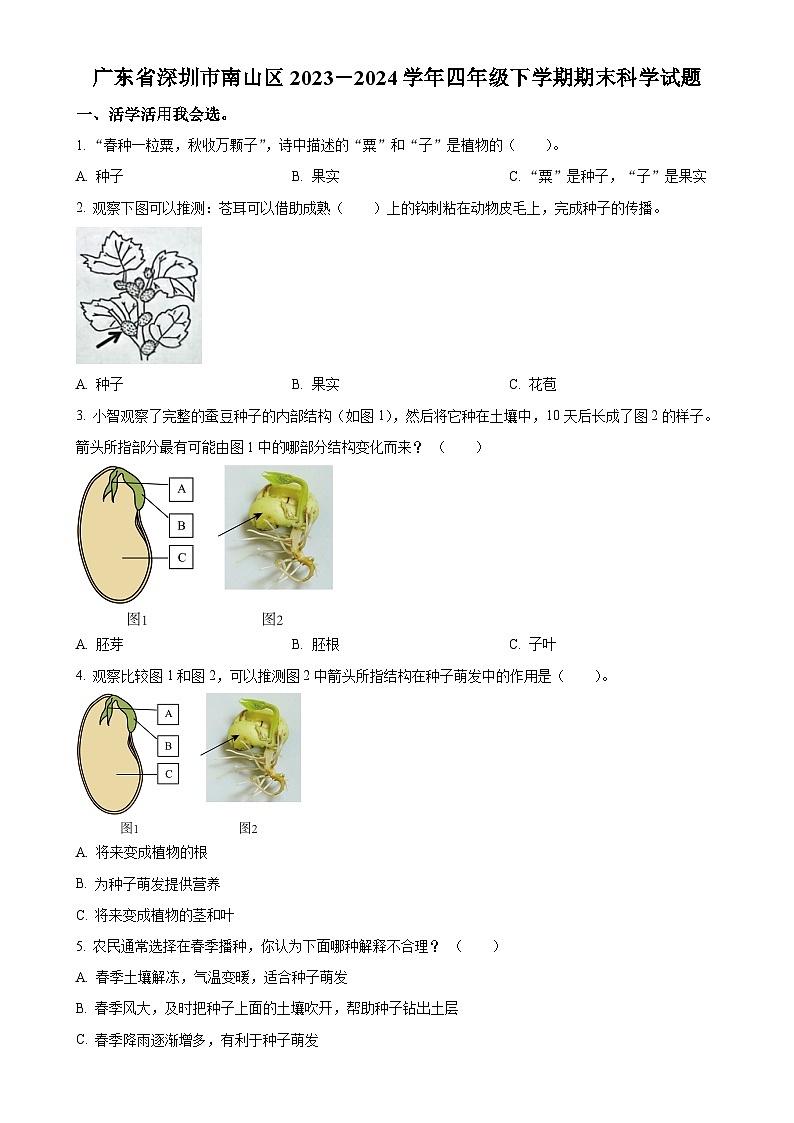 广东省深圳市南山区教科版四年级下册期末考试科学试卷(原卷版)-A4第1页