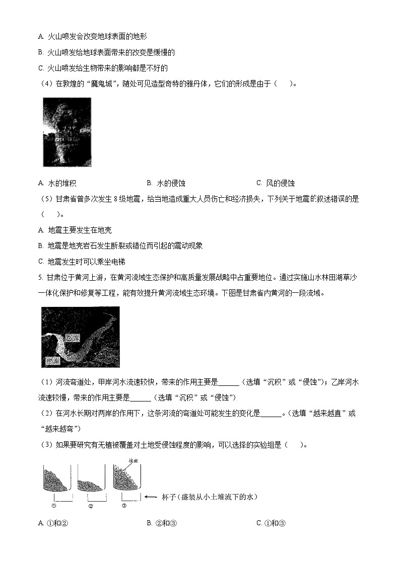 广东省深圳市光明区教科版五年级上册期末考试科学试卷(原卷版)-A4第3页
