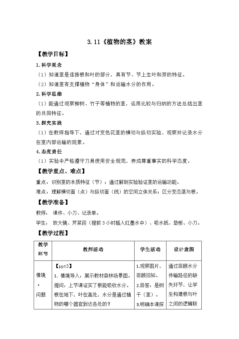 第11课 植物的茎 教案 小学科学青岛版六三制(2024)三年级下册教案表格式第1页