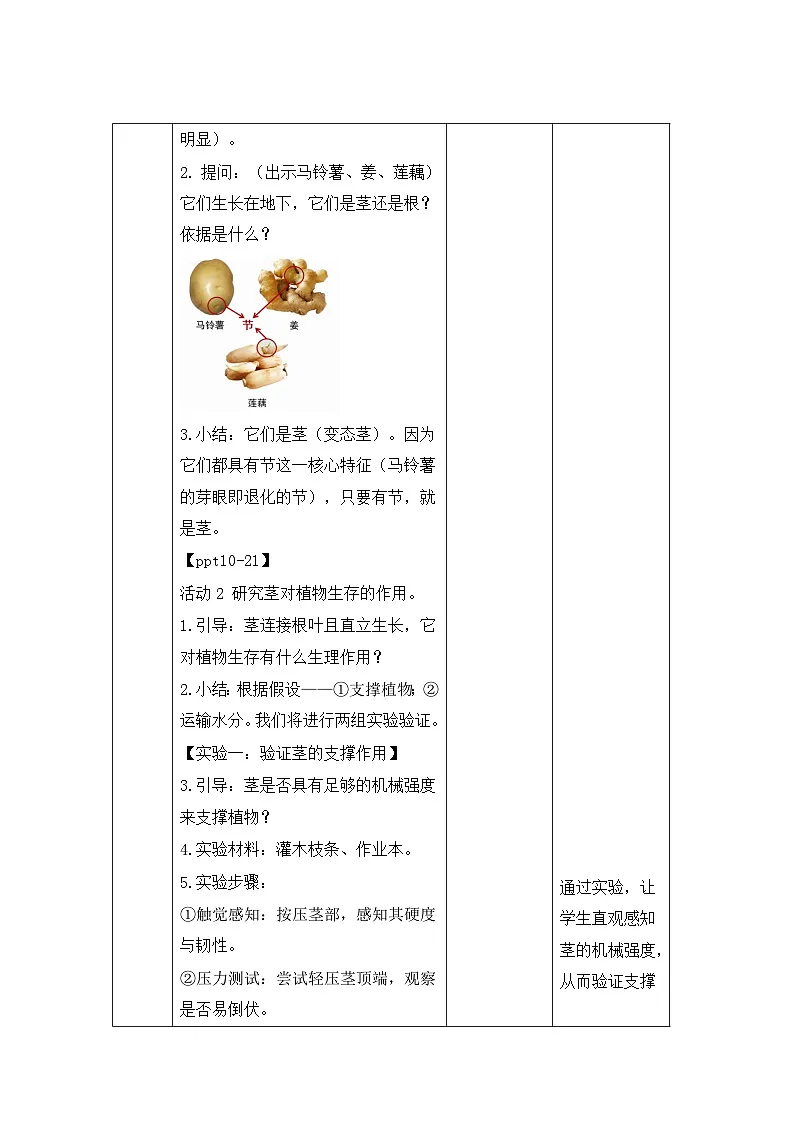 第11课 植物的茎 教案 小学科学青岛版六三制(2024)三年级下册教案表格式第3页