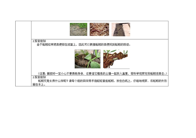 三年级上册科学教案 第二单元《蚯蚓》教科版02