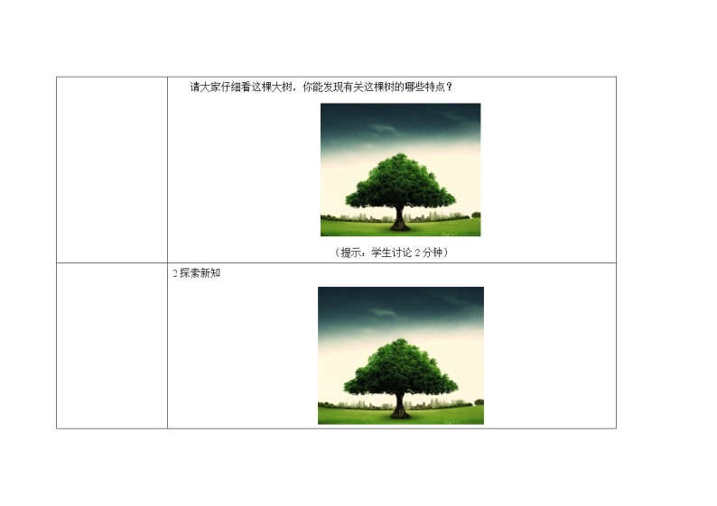 三年级上册科学教案 第一单元《我看到了什么》教科版02