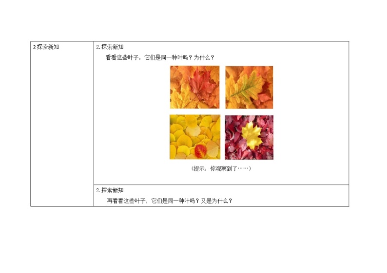 三年级上册科学教案 第一单元《植物的叶》教科版03