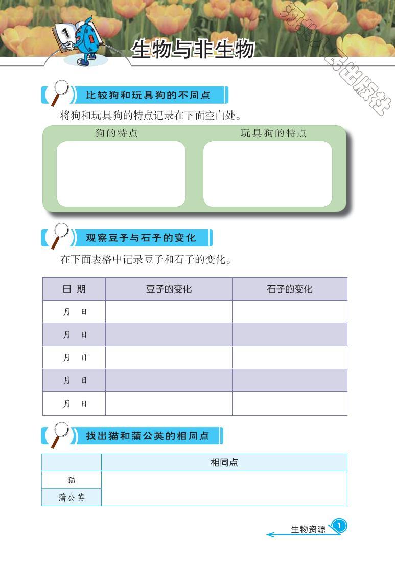 冀教版 科学 三年级下册 活动手册03