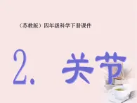 苏教科学四下《1.2关节》课件