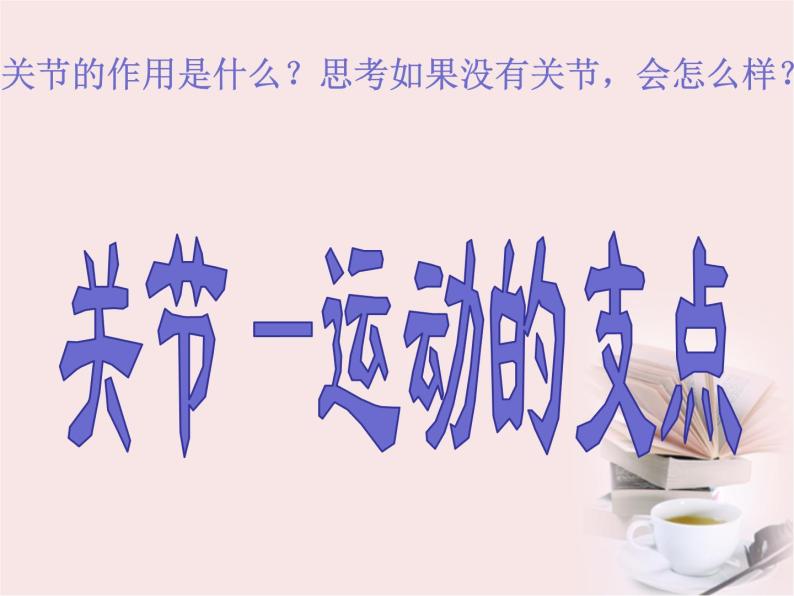 苏教科学四下《1.2关节》课件05