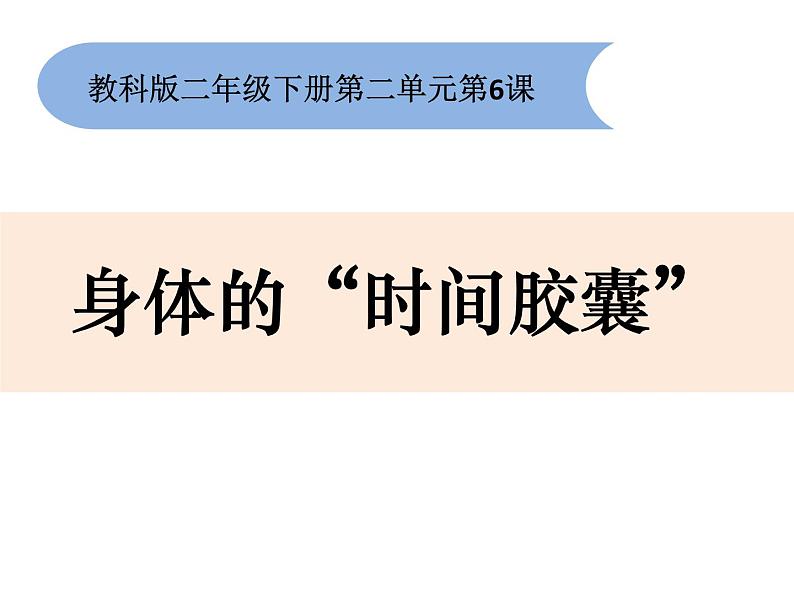 2-6《身体的“时间胶囊”》优质课件01