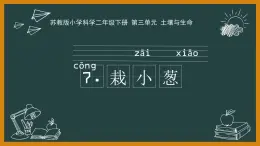 7.栽小葱 精品课件