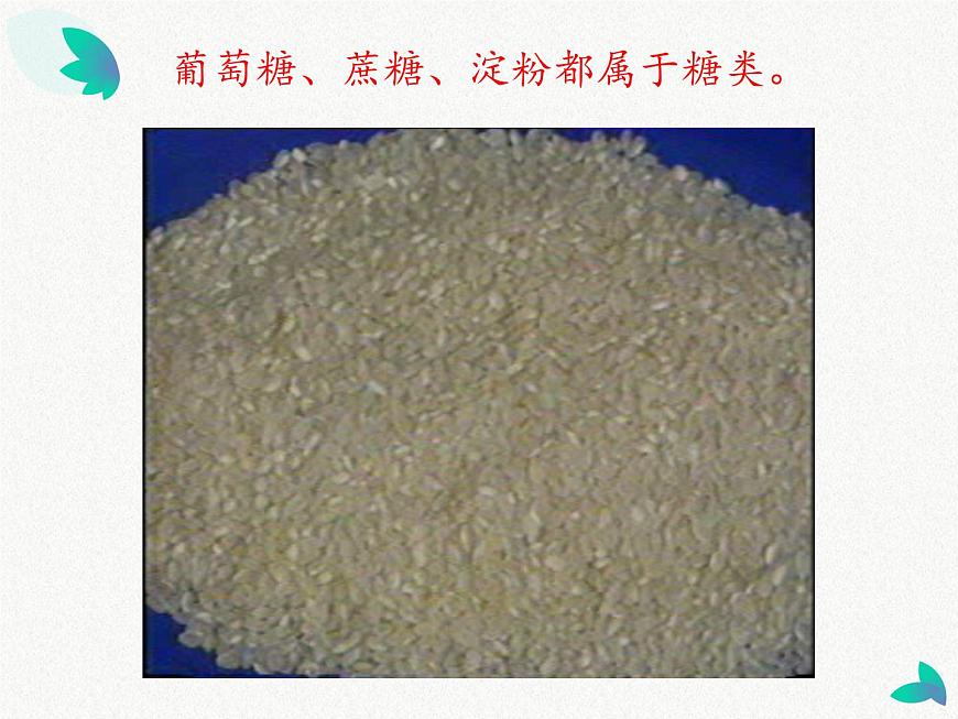 2.食物中的營(yíng)養(yǎng)第5頁(yè)