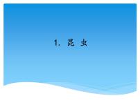 科学三年级上册1 昆虫教学演示ppt课件