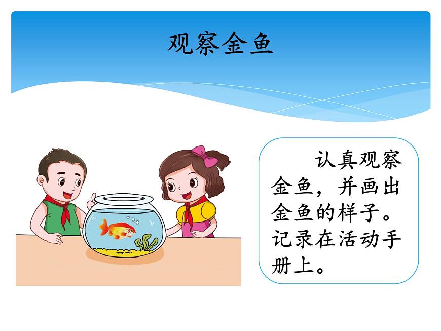 2.2魚 課件第4頁