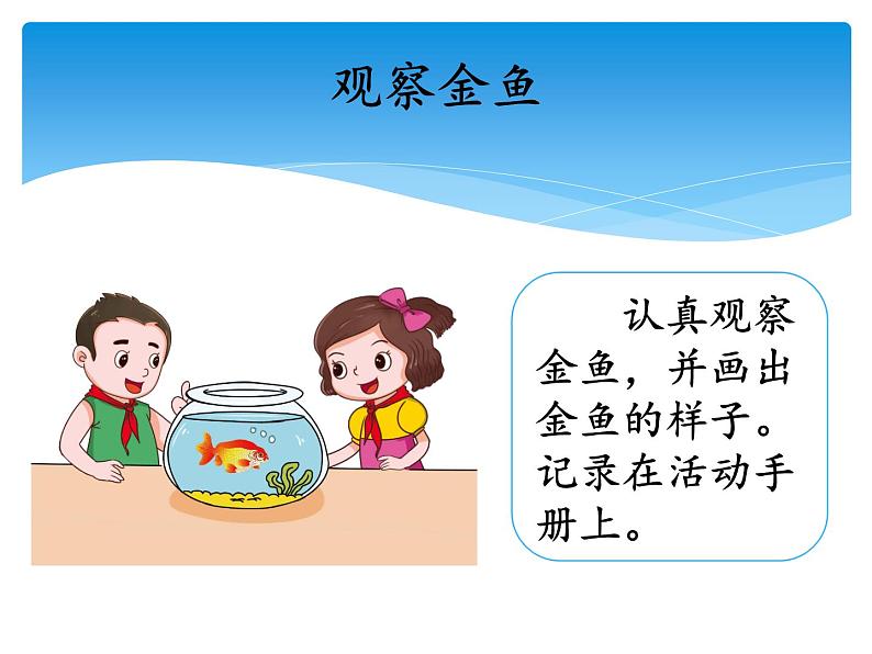湘科版三年级上册:2.2鱼 课件PPT04