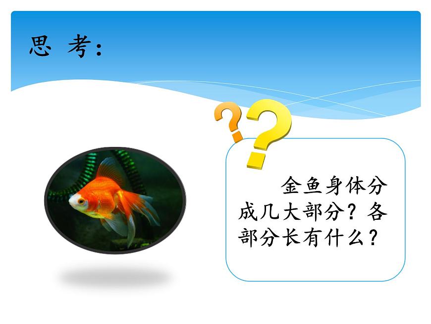 2.2魚 課件第5頁