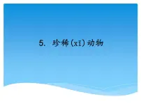 小学科学湘科版 (2017)三年级上册5 珍稀动物教课课件ppt