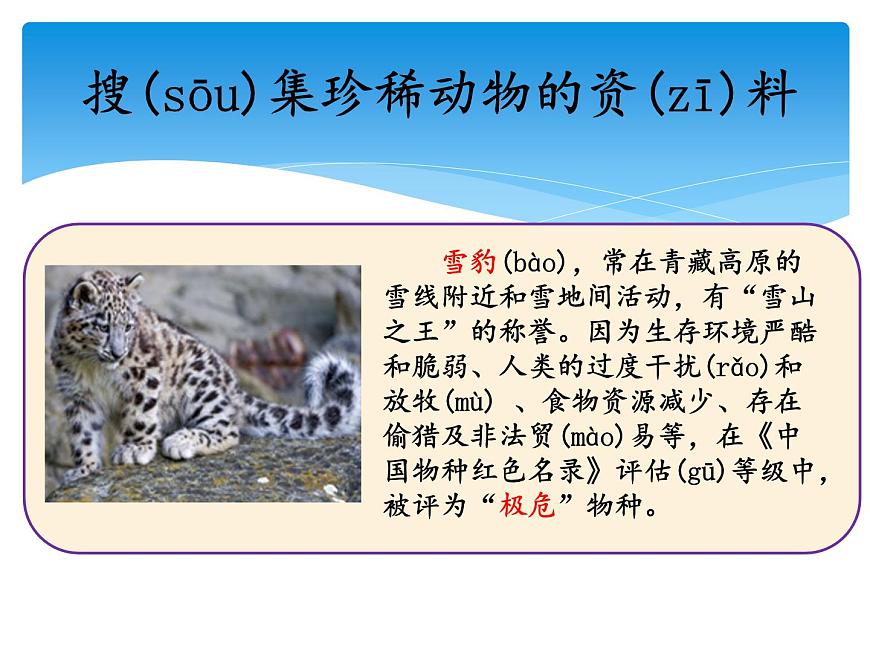 2.5珍稀動(dòng)物 課件第4頁