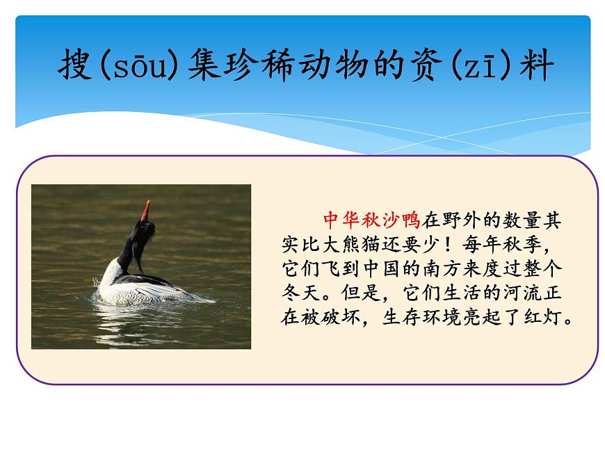 2.5珍稀動(dòng)物 課件第5頁