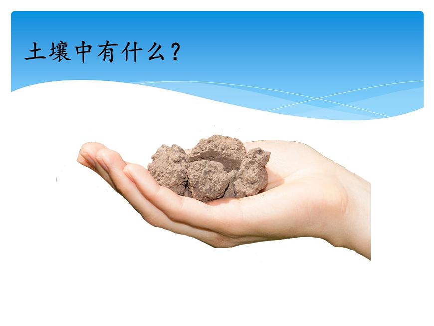 3.2土壤的成分 課件第2頁