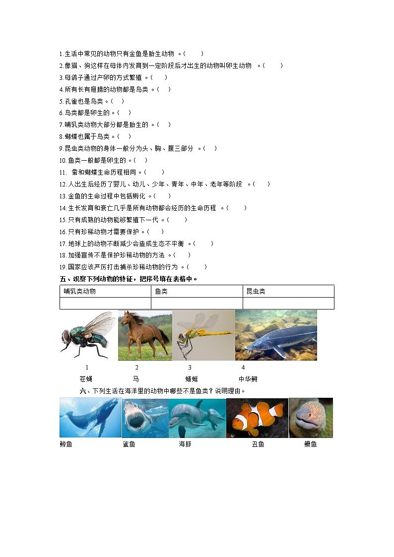 大象版三年級(jí)科學(xué)上冊(cè)第二單元?jiǎng)游锏奶卣鲉卧毩?xí)題（含答案）第3頁(yè)