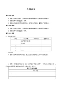 小学科学大象版 (2017)三年级上册第二单元 动物的特征2 鸟类的特征学案及答案