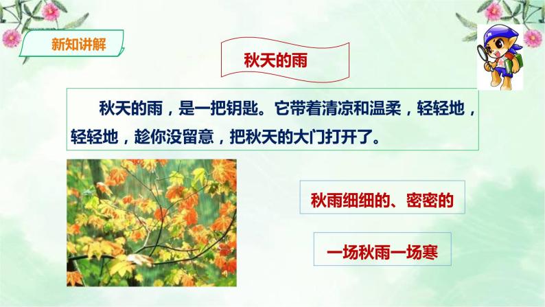 新粤教版一上科学：4.11《凉爽的秋天》课件08