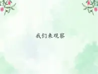 1.3《我们来观察》 课件