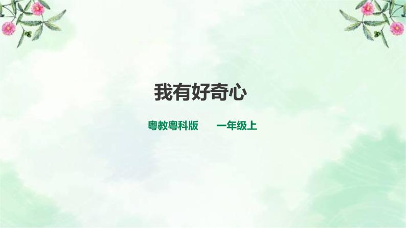 新粤教版一上科学：1.2《我有好奇心》课件01