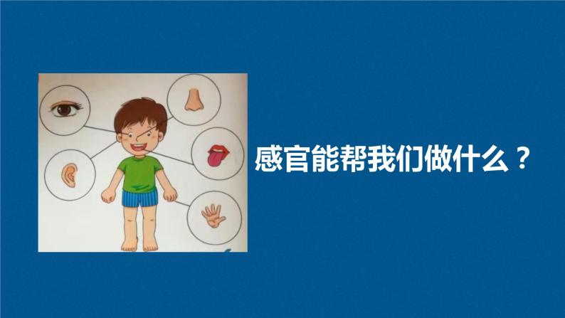 小学科学冀人版(2017)一年级上册2 我的感官获奖课件ppt