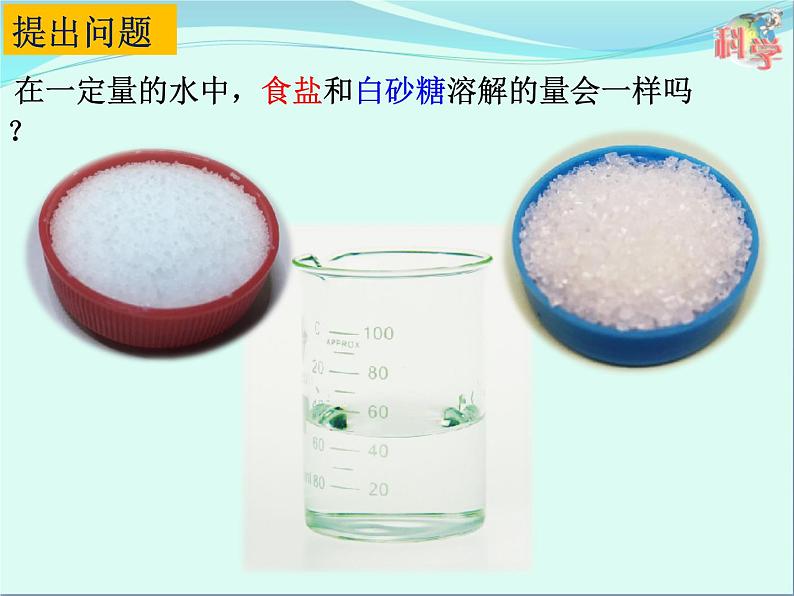 10.《能溶解多少物质》ppt课件03