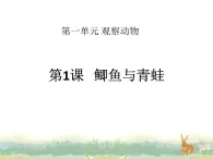 1.《鲫鱼与青蛙》ppt课件