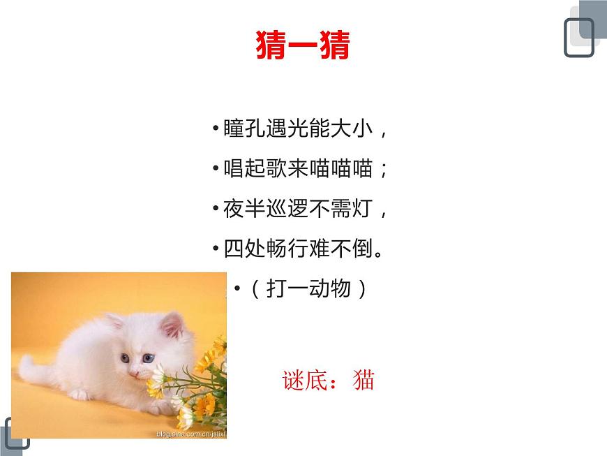 3.《壁虎與小貓》ppt課件第1頁(yè)