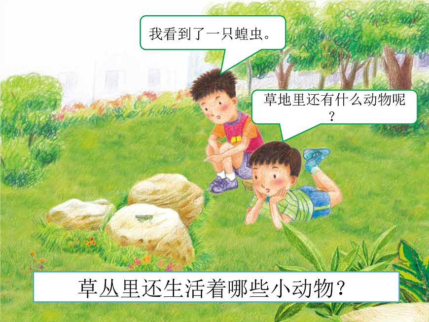 4.《草地里的小動物》ppt課件第2頁