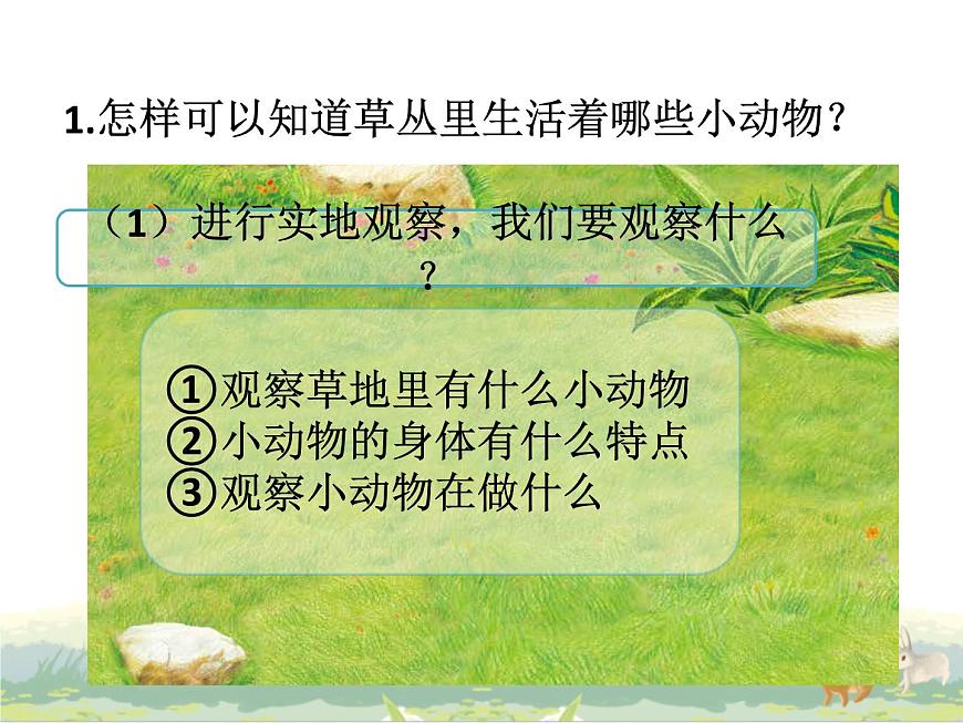 4.《草地里的小動物》ppt課件第3頁
