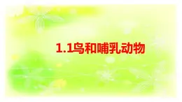 1.1鳥和哺乳動(dòng)物課件+素材