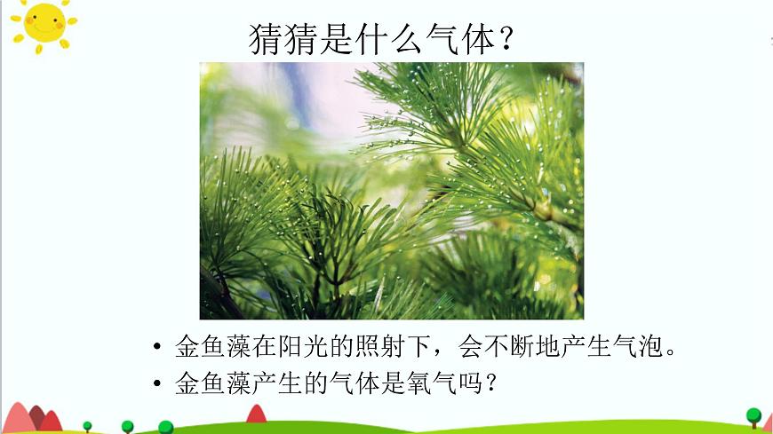 五年級(jí)上冊(cè)第7課《植物能夠利用陽(yáng)光》教學(xué)課件第4頁(yè)