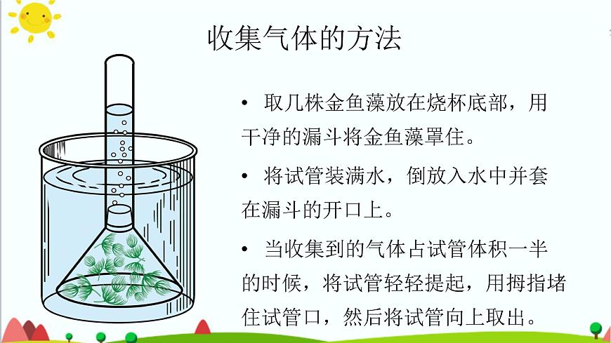 五年級(jí)上冊(cè)第7課《植物能夠利用陽(yáng)光》教學(xué)課件第6頁(yè)