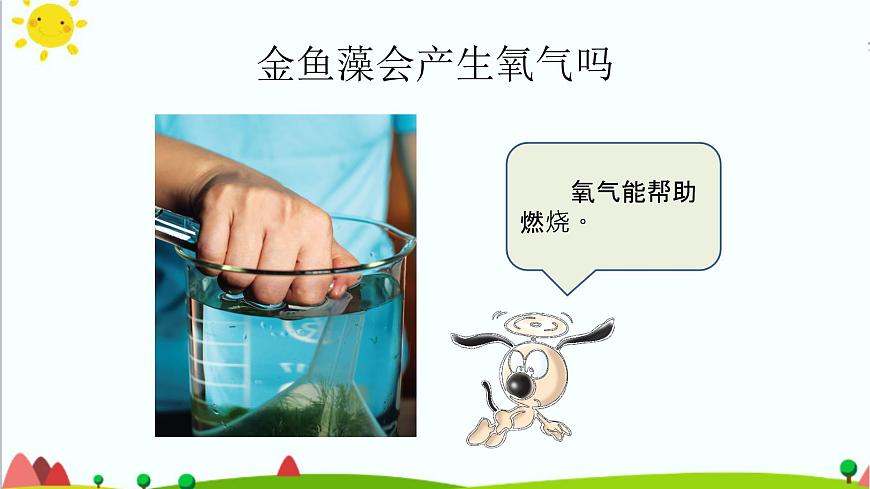 五年級(jí)上冊(cè)第7課《植物能夠利用陽(yáng)光》教學(xué)課件第8頁(yè)