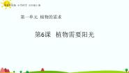 小学科学6 植物需要阳光完美版ppt课件
