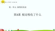 科学五年级上册3 根还吸收了什么一等奖课件ppt