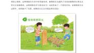 小学科学粤教粤科版 (2017)五年级上册6 植物需要阳光教案及反思