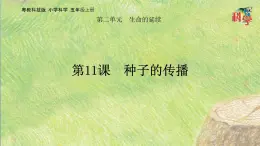 第11课  种子的传播 课件