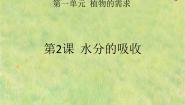 小学粤教粤科版2 水分的吸收课堂教学ppt课件