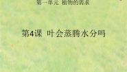 小学科学4 叶会蒸腾水分吗多媒体教学课件ppt