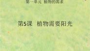 粤教粤科版五年级上册（新版）5 植物需要阳光评课课件ppt