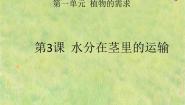 粤教粤科版五年级上册（新版）3 水分在茎里的运输图片ppt课件
