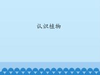 小学科学冀人版 (2017)一年级上册5 认识植物教学演示课件ppt