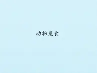 大象版科學(xué)二上4.2 動物覓食_課件