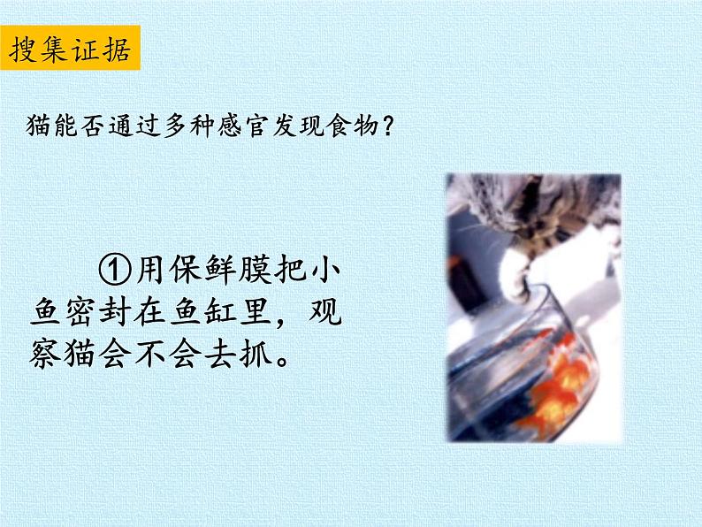 大象版科学二上4.2 动物觅食_课件04